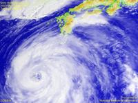 Typhoon Wallpaper Image : Typhoon 200310 (ETAU) : Typhoon ETAU right above Okinawa: GOES-9 Visible image (1024x768) : August 7, 2003, 02:00(UTC)