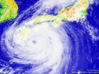 Typhoon Wallpaper Image : Typhoon 200310 (ETAU) : Typhoon ETAU off the coast of Shikoku: GOES-9 Visible image (1024x768) : August 8, 2003, 03:00(UTC)