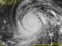 Typhoon Wallpaper Image : Typhoon 200406 (DIANMU) : Rounded clouds of Typhoon DIANMU (0000 UTC)