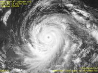 Typhoon Wallpaper Image : Typhoon 200406 (DIANMU) : Rounded clouds of Typhoon DIANMU (0600 UTC)