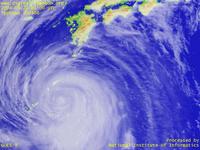 Typhoon Wallpaper Image : Typhoon 200406 (DIANMU) : Typhoon DIANMU off the Southwest islands (0100 UTC)