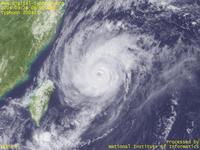 Typhoon Wallpaper Image : Typhoon 200421 (MEARI) : Typhoon MEARI with its eye being visible again (0600 UTC)