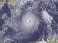 台風壁紙画像：2004年台風22号（マーゴン｜MA-ON）：円形のきれいな眼をもつ台風200422号（9時JST）