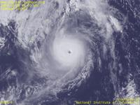 Typhoon Wallpaper Image : Typhoon 200422 (MA-ON) : Typhoon MA-ON with the edge of eyewall clouds being steep (0600 UTC)