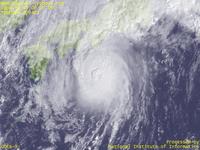 台風壁紙画像：2004年台風22号（マーゴン｜MA-ON）：雲の形が多少崩れてきた台風200422号（9時JST）