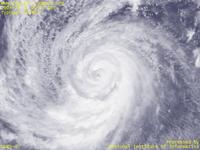 台風壁紙画像：2004年台風23号（トカゲ｜TOKAGE）：らせん状の雲が並ぶ台風200423号（12時JST）