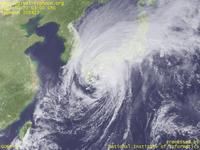 台風壁紙画像：2004年台風23号（トカゲ｜TOKAGE）：上陸直前の台風200423号（12時JST）