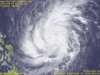 台風壁紙画像：2005年台風3号（ソンカー｜SONCA）：眼が見え始めた台風200503号（11時JST）