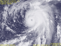 Typhoon Wallpaper Image : Typhoon 200504 (NESAT) : Typhoon NESAT with the magnified eye in the center (0200 UTC)