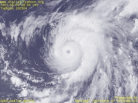 台風壁紙画像：2005年台風4号（ネサット｜NESAT）：再び均整のとれた形に発達した台風200504号（15時JST）