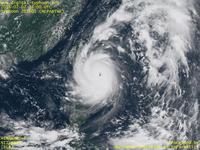 Typhoon Wallpaper Image : Typhoon 201601 (NEPARTAK) : 少し眼が大きくなって全体のサイズも一回り成長した台風201601号（12時JST）