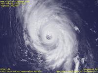 台風壁紙画像：2007年台風5号（ウサギ｜USAGI）：中心にパッチリと開いた眼をもつ台風200705号（12時JST）