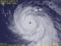 Typhoon Wallpaper Image : Typhoon 200805 (NAKRI) : Compact and well-organized Typhoon 200805 (06UTC)