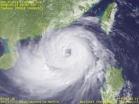 台風壁紙画像：2008年台風14号（ハグピート｜HAGUPIT）：南シナ海の北半分を覆う台風200814号（12時JST）