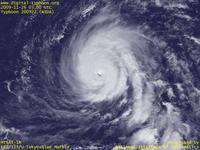 台風壁紙画像：2009年台風22号（ニーダ｜NIDA）：小さく円い眼をもつ台風200922号（12時JST）