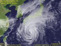 Typhoon Wallpaper Image : Typhoon 201326 (WIPHA) : 大きな雨雲の渦が日本列島をすっぽり飲み込みつつある台風201326号（12時JST）