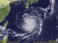 Typhoon Wallpaper Image : Typhoon 201411 (HALONG) : しっかりと渦巻きを保って意外と強い勢力を維持する台風201411号（12時JST）