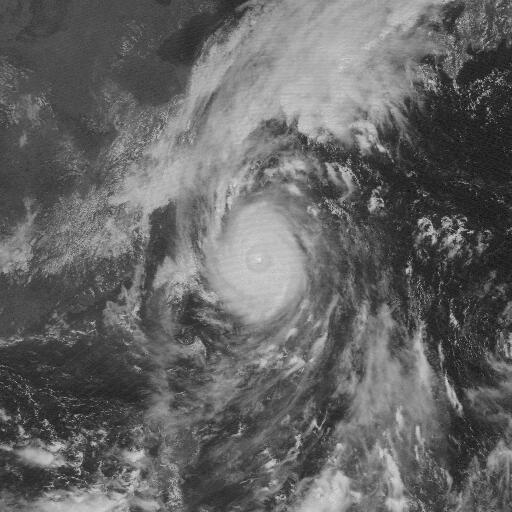 Typhoon 200314