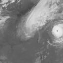 Typhoon 201323 : MTS213100706
