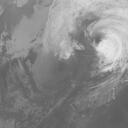 Typhoon 201327 : MTS113102606