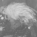 Typhoon 201515 : HMW815082521