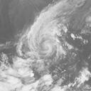 Typhoon 201723 : HMW817110412