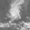Typhoon 201901 : HMW819010412