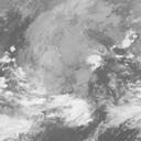 Typhoon 202118 : HMW821101412