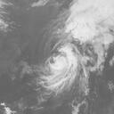 Typhoon 202302 : HMW923060120