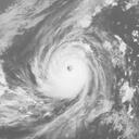 Typhoon 202421 (WNP) : HMW924102915