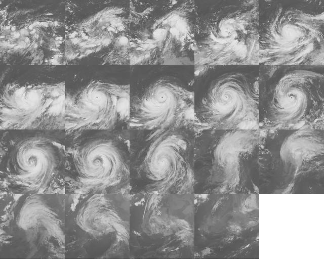 Typhoon 199713 Life Cycle