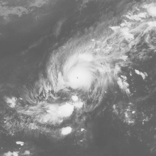 Typhoon 200620 (WNP) : MTS106111012