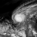 台風201502号 : 2015年02月10日12時00分(JST)