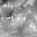 Typhoon 201907 : 2019-08-02 12:00 (UTC)